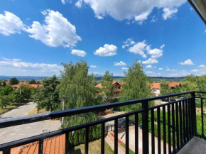 Apartman Buena Vista, Soko Banja